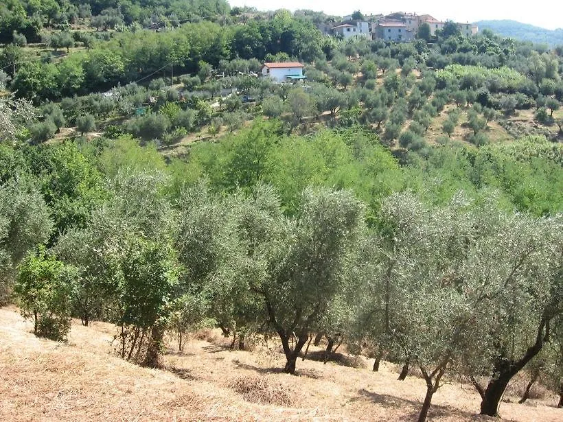 Le Forri Agriturismo E B&B 皮斯托亚 招待所